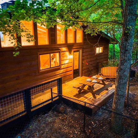 Woodhaven - Private - 3 Suites - Gorgeous Views - 3 Pools - Gamerm - Hottub - Lots Of Bears 개틀린버그 외부 사진
